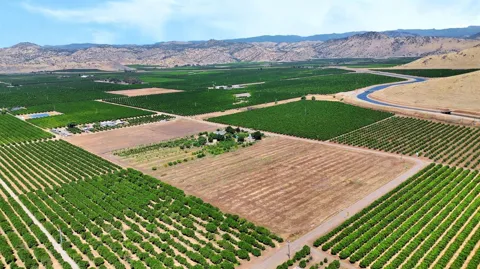 40921 Road 150