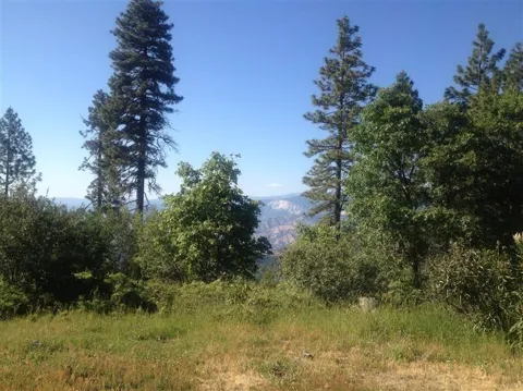0 E Trimmer Springs Rd