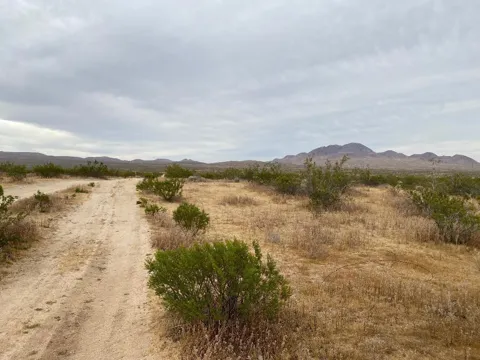 19 Hwy 395