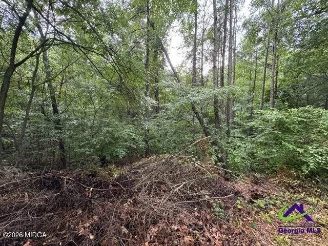 176 Waters Point Lizella, GA 31052