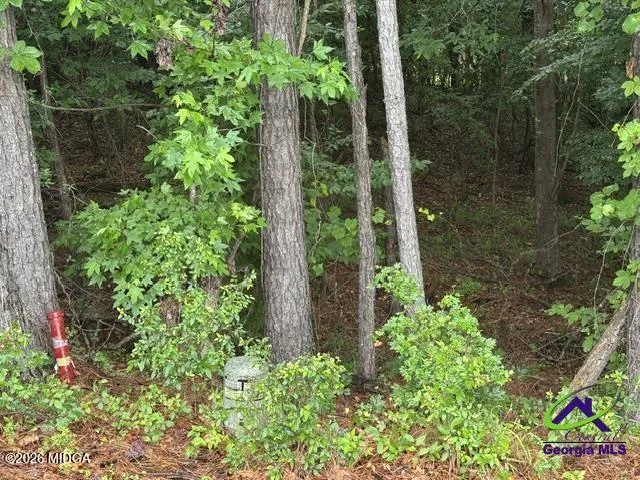 176 Waters Point Lizella, GA 31052