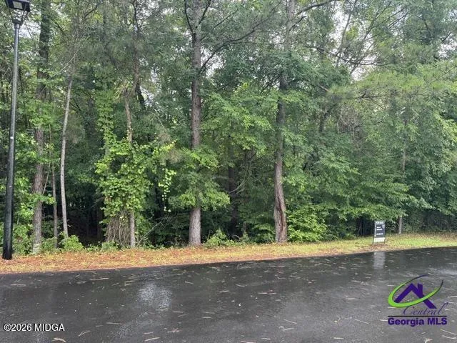 176 Waters Point Lizella, GA 31052