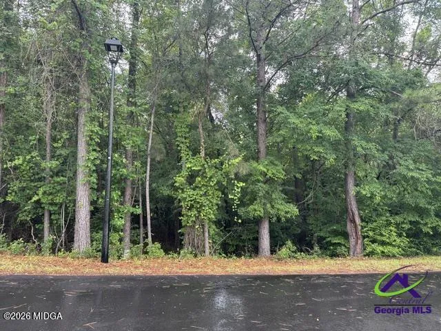 176 Waters Point Lizella, GA 31052