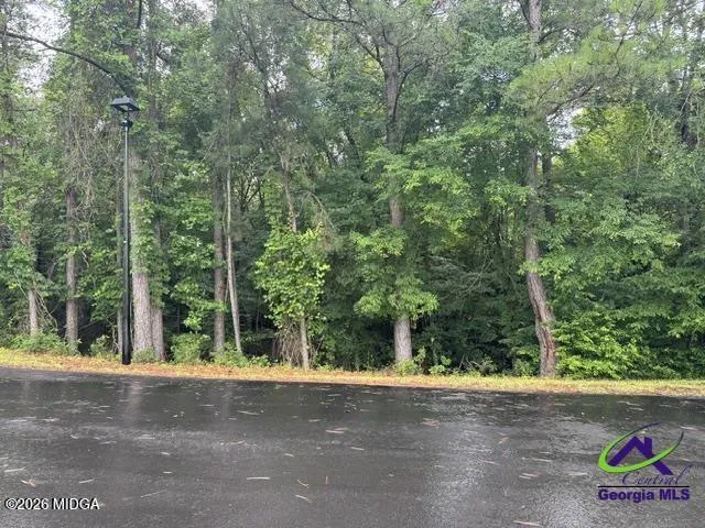 172 Waters Point Lizella, GA 31052