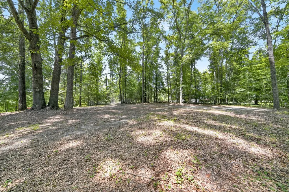 41 Collins Drive Box Springs, GA 31801
