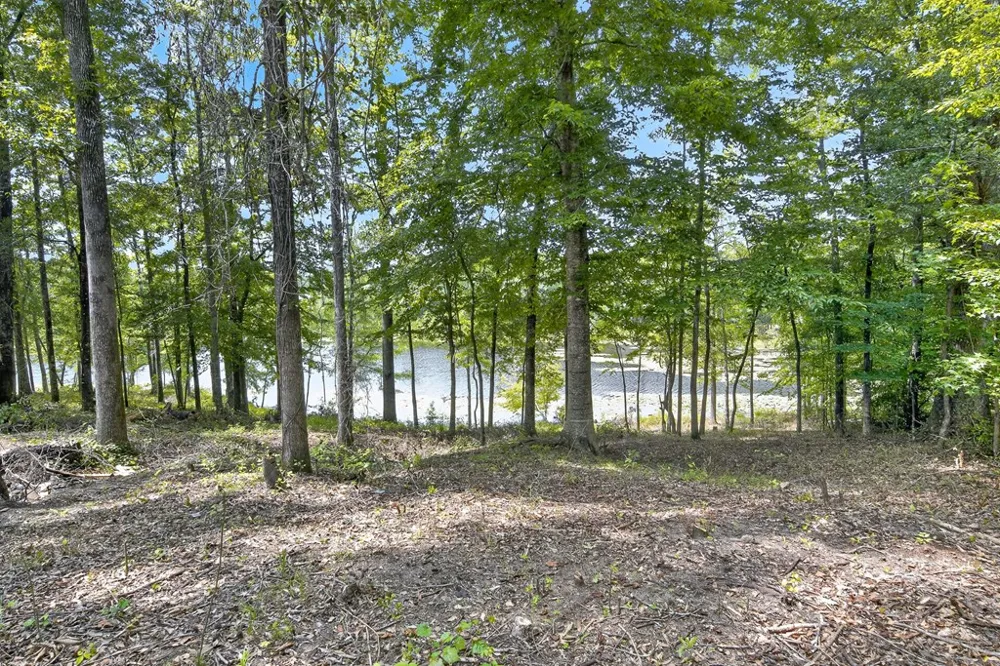 41 Collins Drive Box Springs, GA 31801