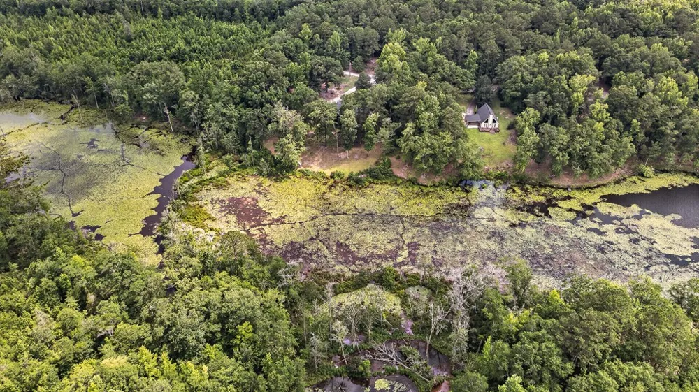 41 Collins Drive Box Springs, GA 31801