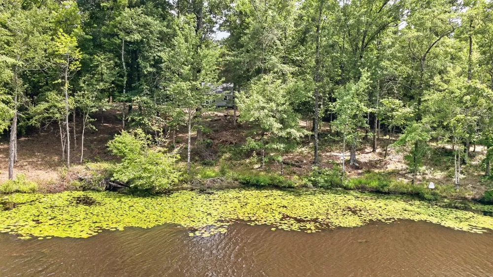 41 Collins Drive Box Springs, GA 31801