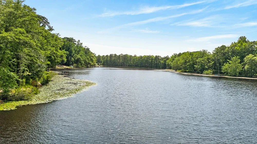 41 Collins Drive Box Springs, GA 31801