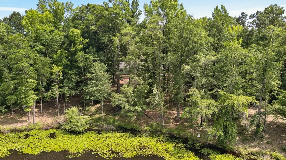 41 Collins Drive Box Springs, GA 31801