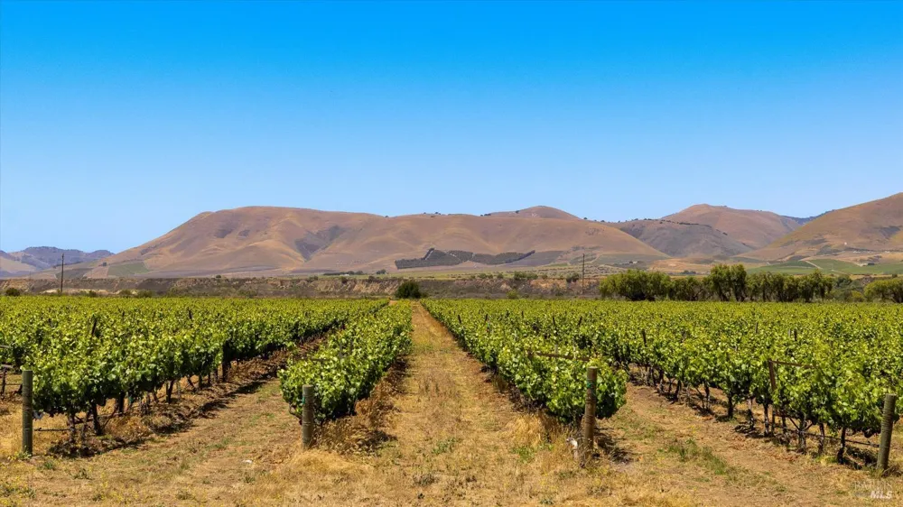 5533 Foxen Canyon Road Santa Maria, CA 93454