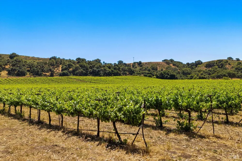 5533 Foxen Canyon Road Santa Maria, CA 93454