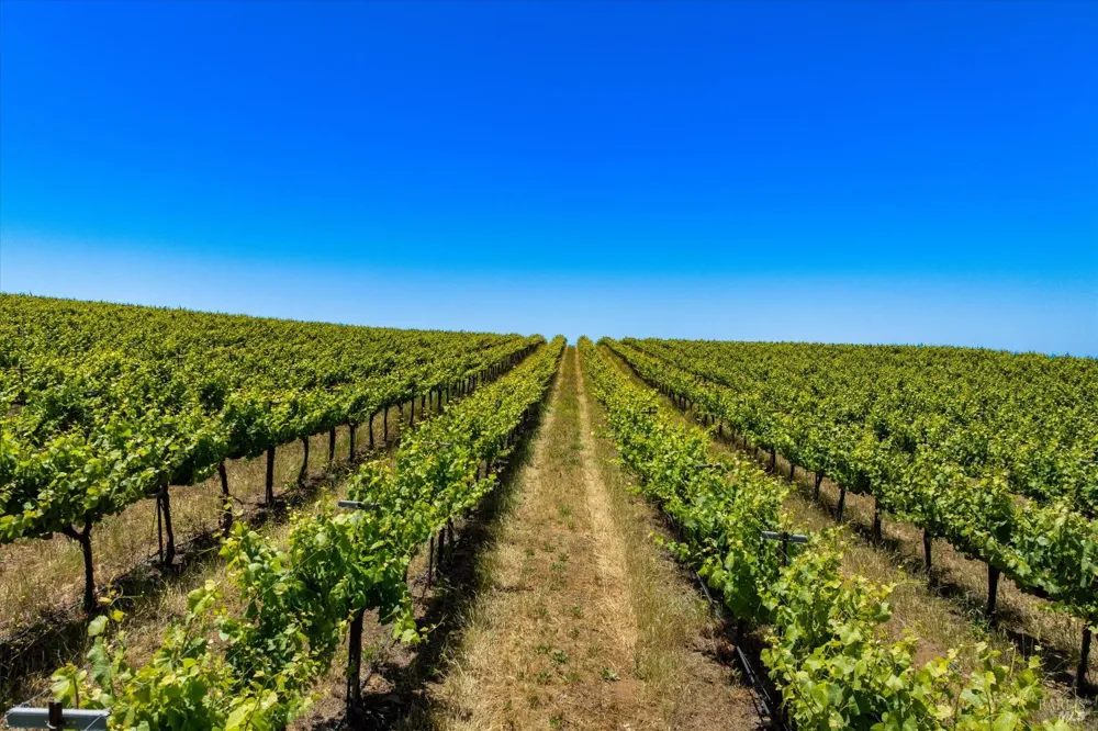 5533 Foxen Canyon Road Santa Maria, CA 93454