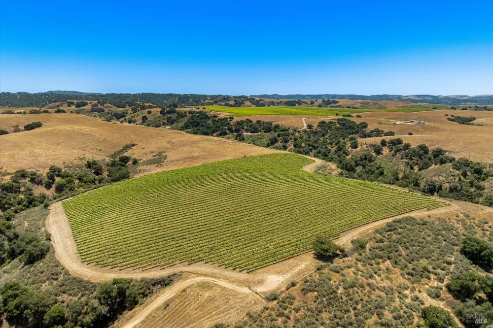 5533 Foxen Canyon Road Santa Maria, CA 93454