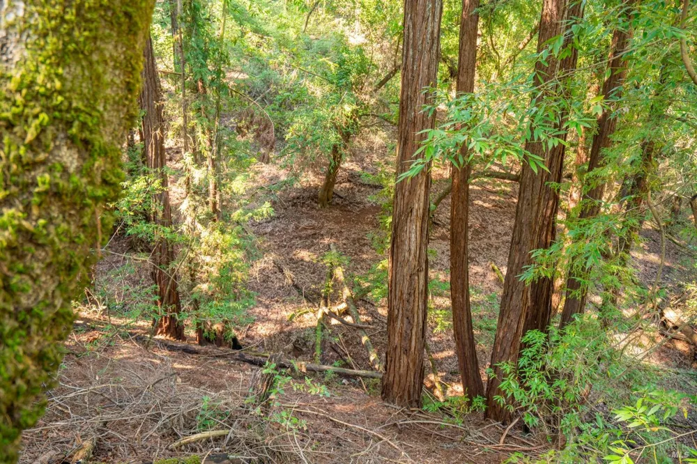 10608 Canyon Road Forestville, CA 95436