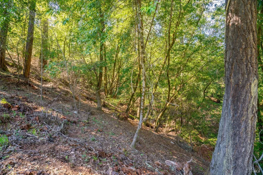 10608 Canyon Road Forestville, CA 95436