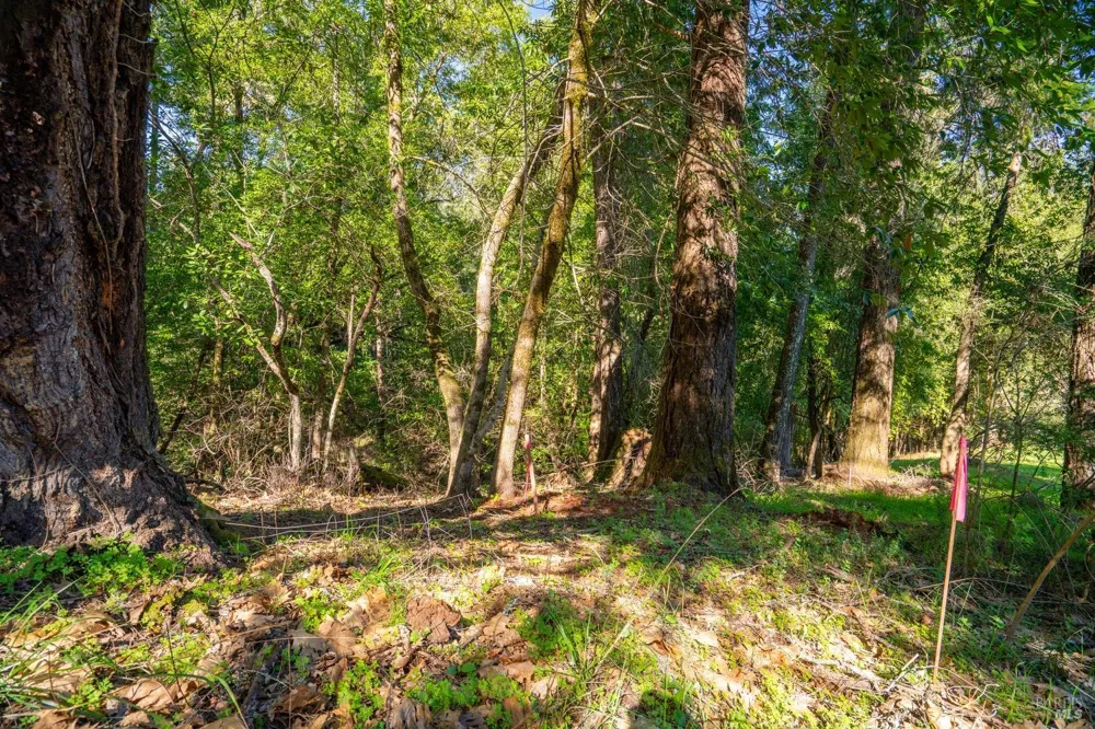 10608 Canyon Road Forestville, CA 95436