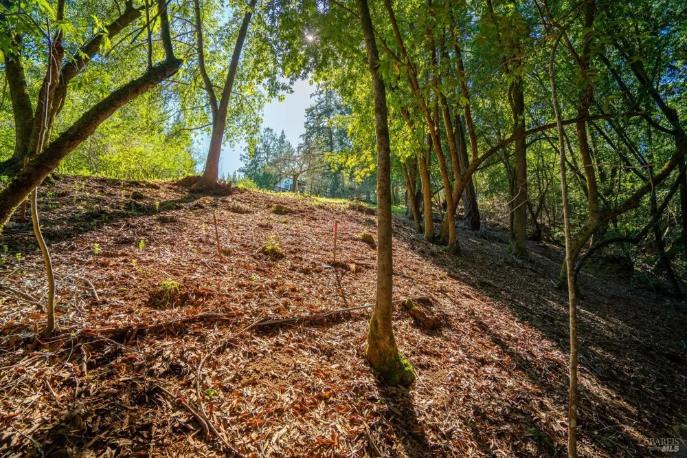 10608 Canyon Road Forestville, CA 95436