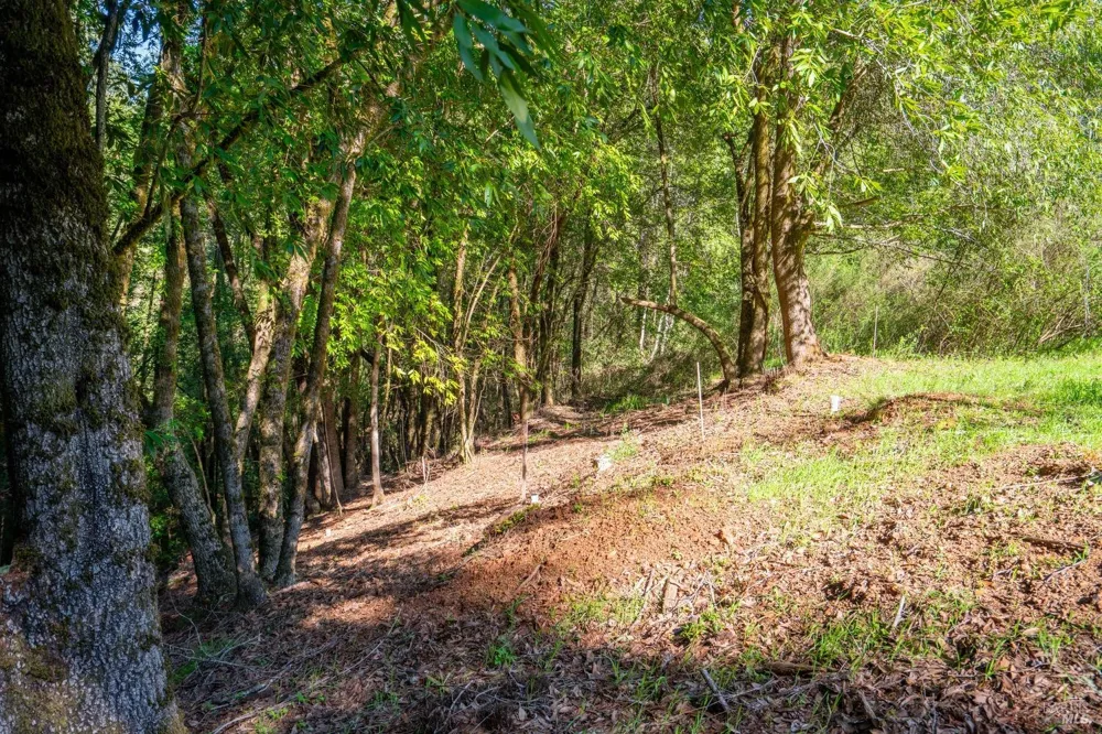 10608 Canyon Road Forestville, CA 95436
