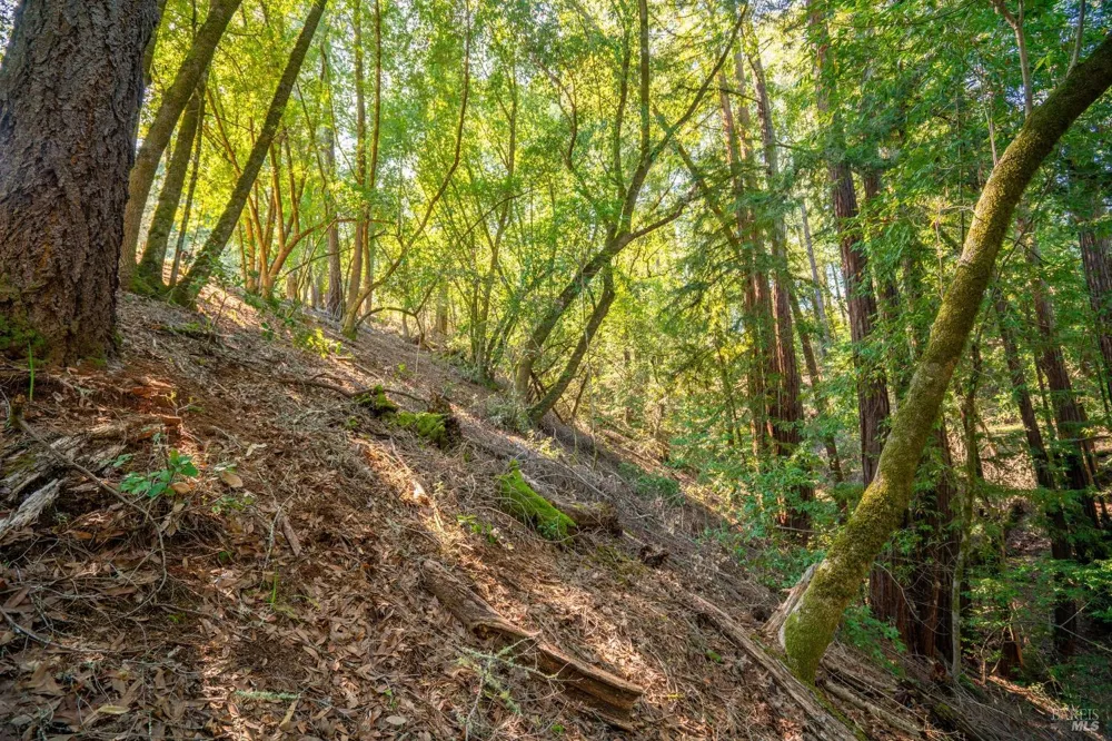 10608 Canyon Road Forestville, CA 95436
