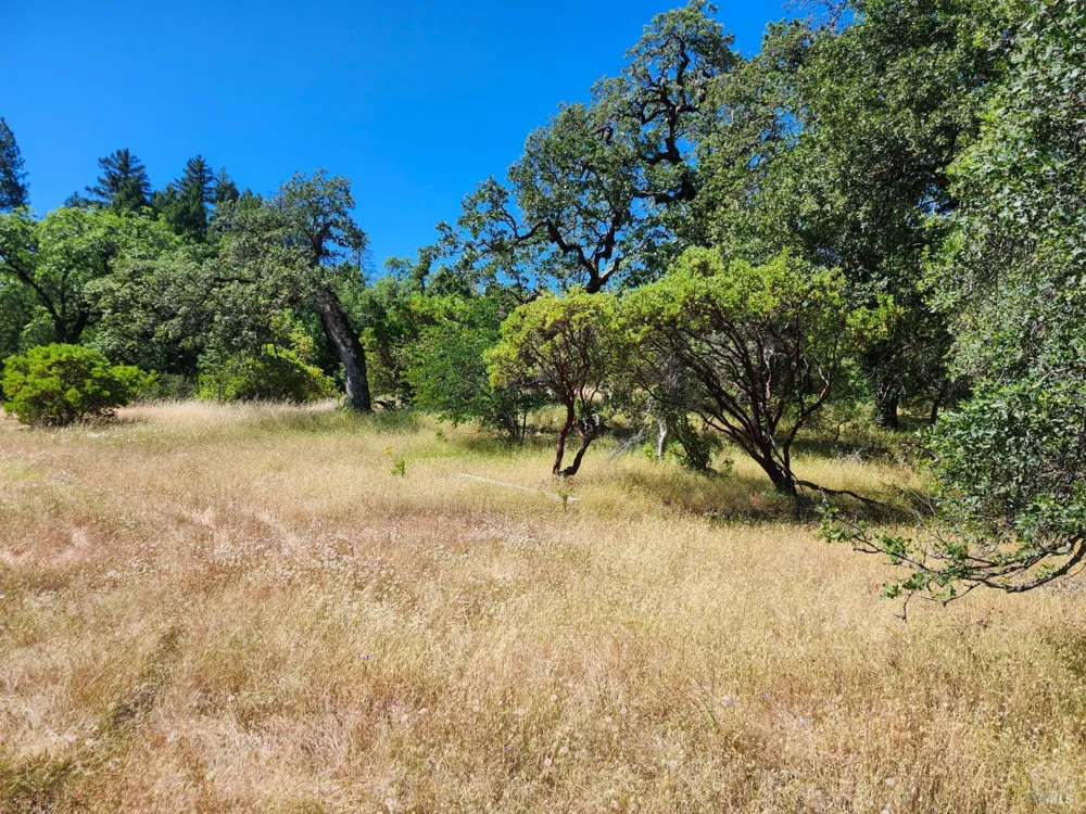 22551 Rifle Range Road Covelo, CA 95428