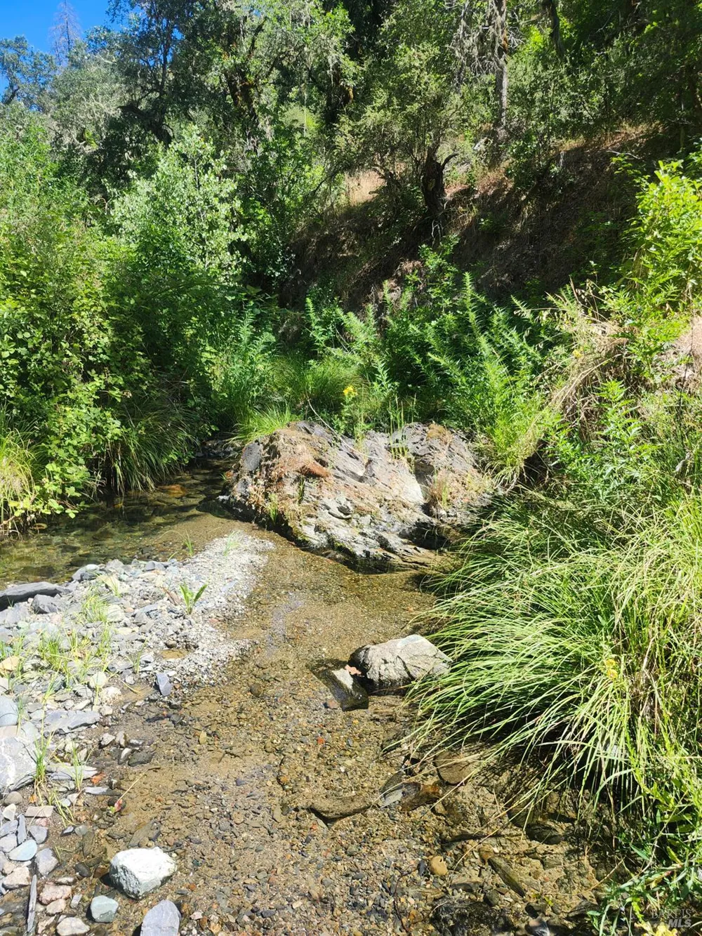 22551 Rifle Range Road Covelo, CA 95428