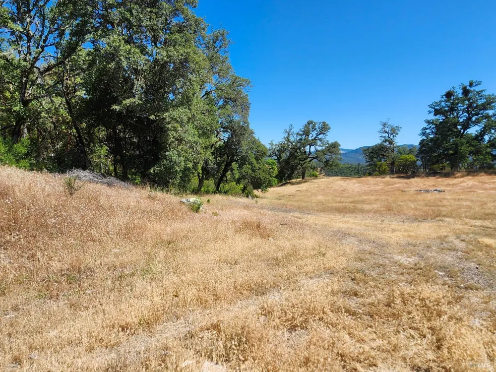 22551 Rifle Range Road Covelo, CA 95428