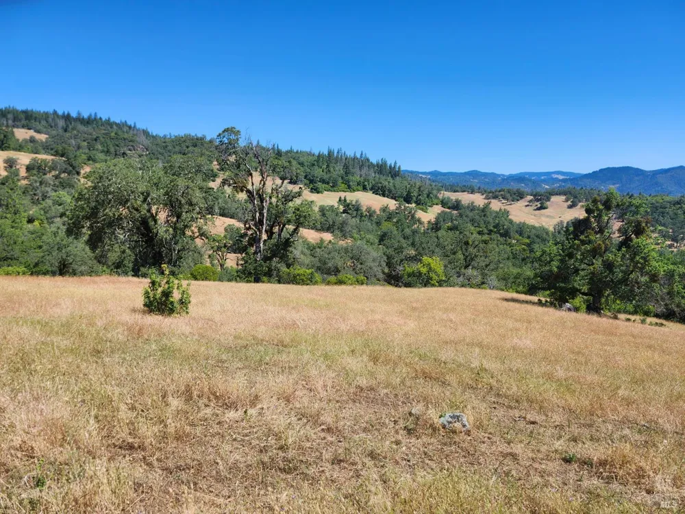 22551 Rifle Range Road Covelo, CA 95428