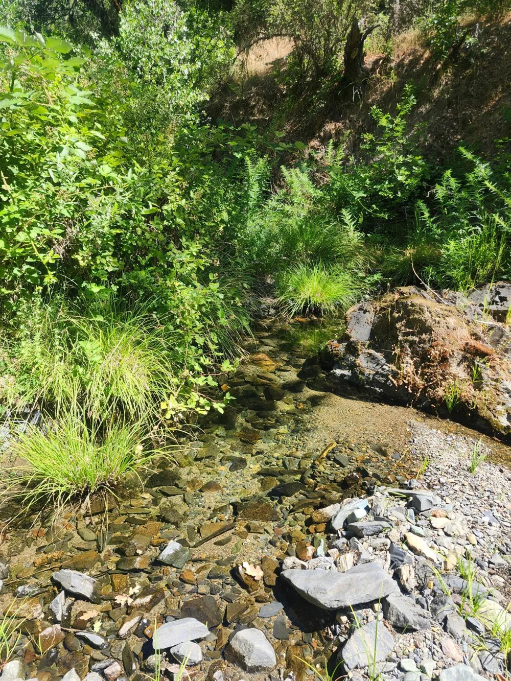 22551 Rifle Range Road Covelo, CA 95428