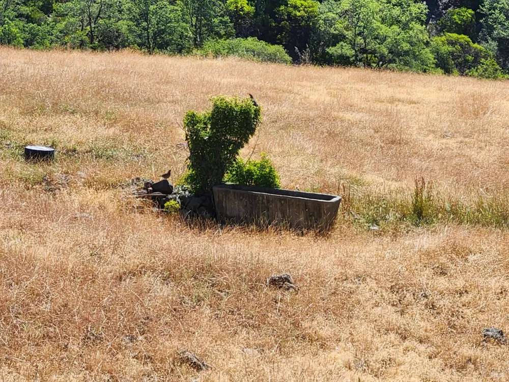 22551 Rifle Range Road Covelo, CA 95428
