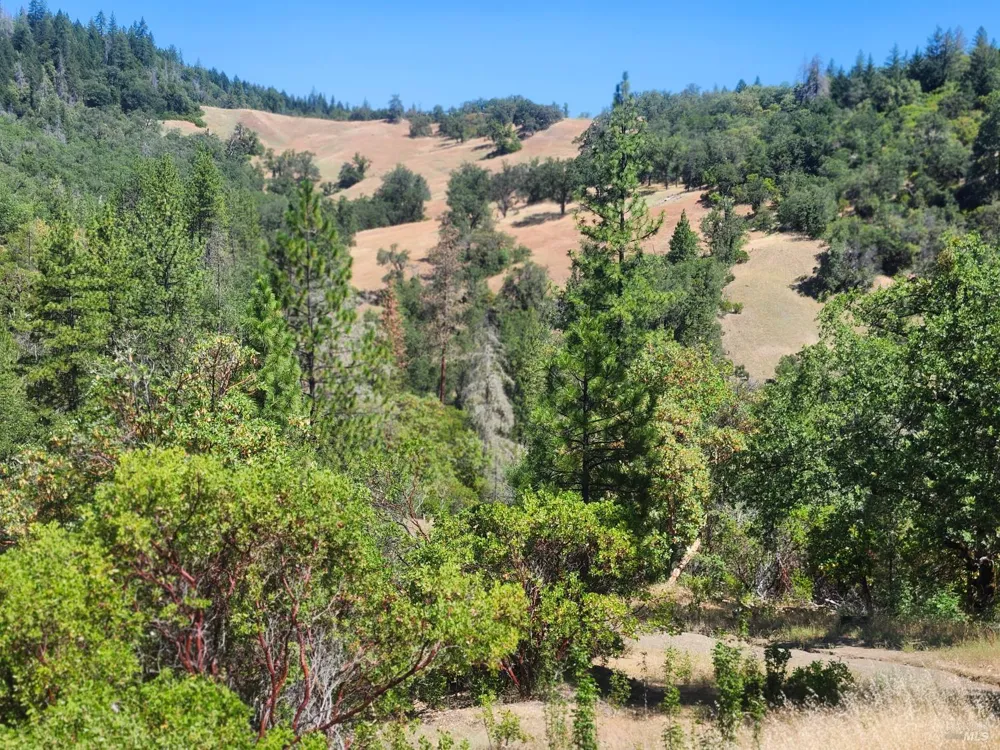 22551 Rifle Range Road Covelo, CA 95428