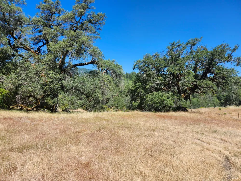 22551 Rifle Range Road Covelo, CA 95428