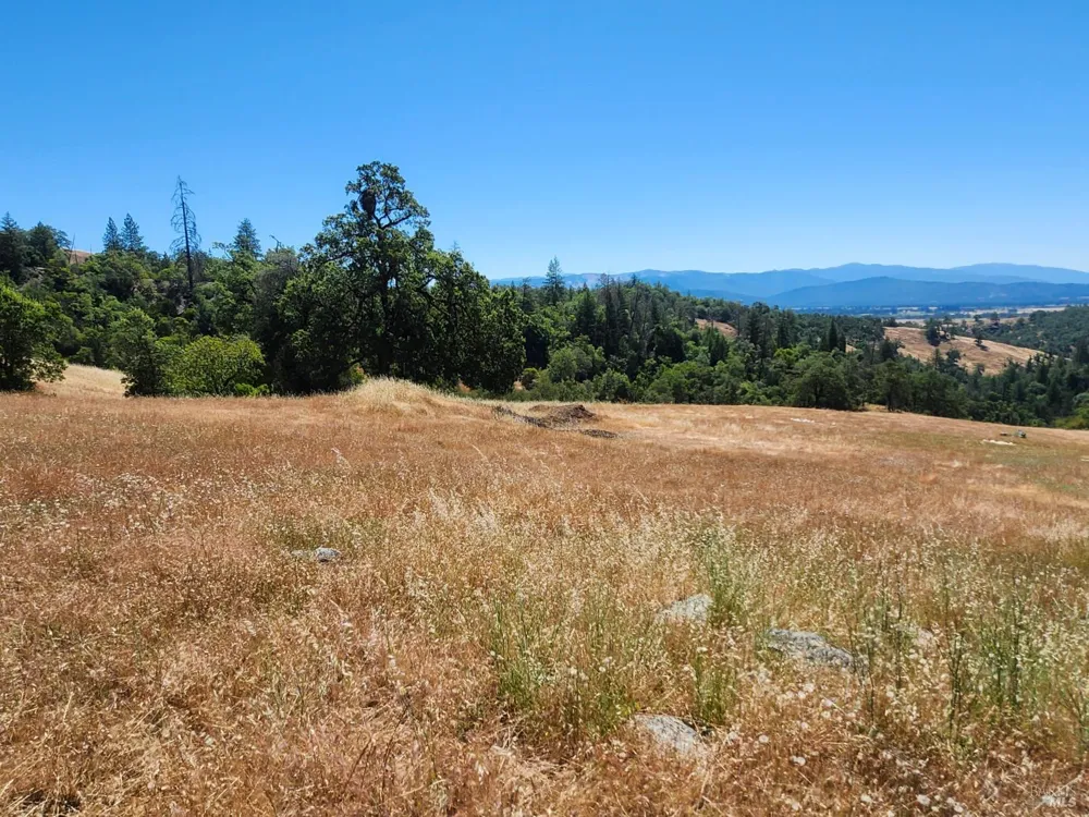 22551 Rifle Range Road Covelo, CA 95428