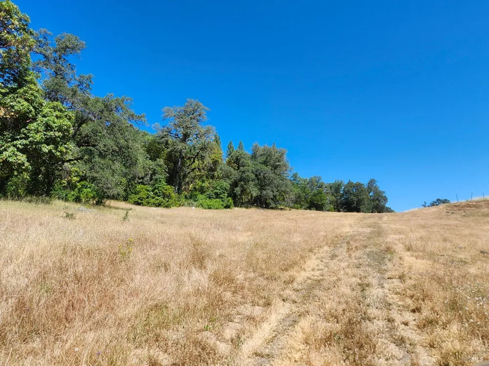22551 Rifle Range Road Covelo, CA 95428