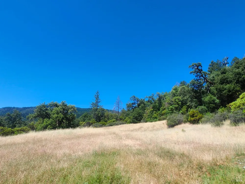 22551 Rifle Range Road Covelo, CA 95428