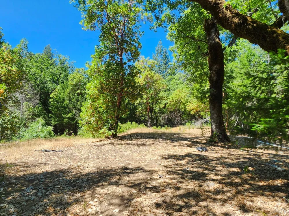 22551 Rifle Range Road Covelo, CA 95428