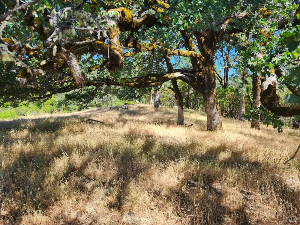 22551 Rifle Range Road Covelo, CA 95428