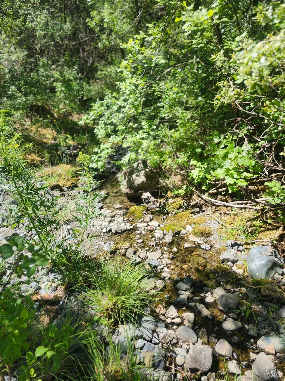 22551 Rifle Range Road Covelo, CA 95428