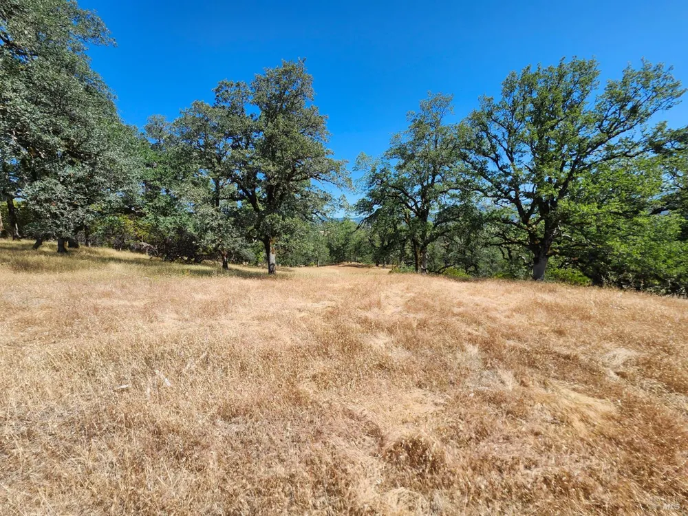22551 Rifle Range Road Covelo, CA 95428