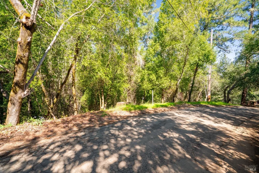10612 Canyon Road Forestville, CA 95436