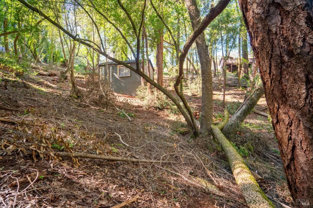 10612 Canyon Road Forestville, CA 95436