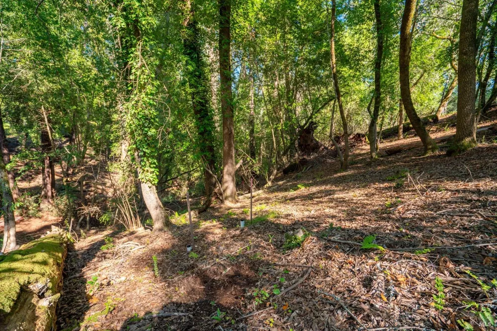 10612 Canyon Road Forestville, CA 95436