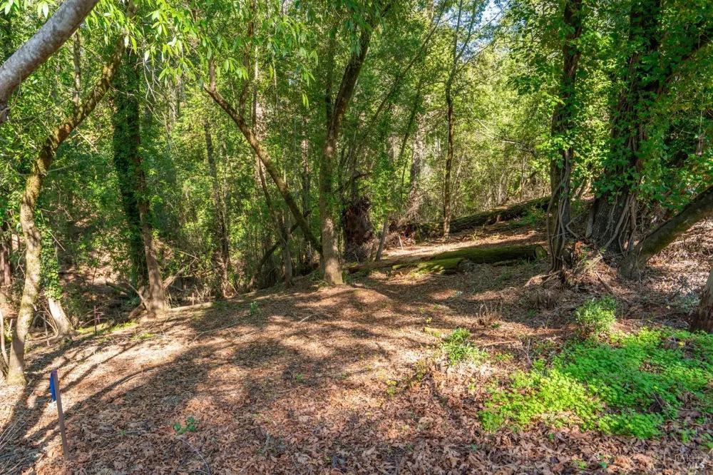 10612 Canyon Road Forestville, CA 95436