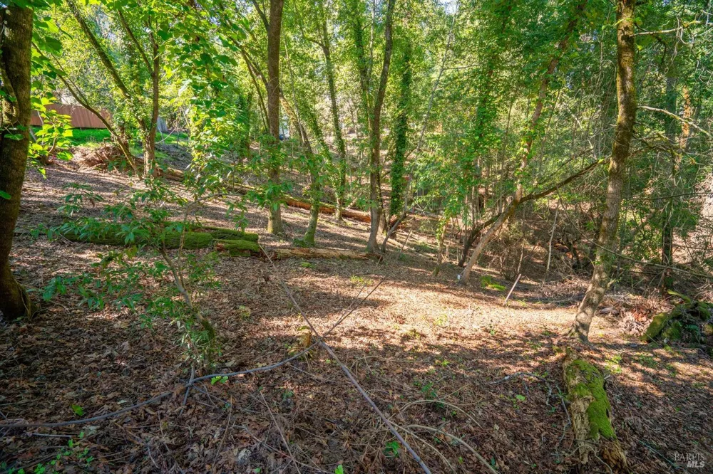 10612 Canyon Road Forestville, CA 95436