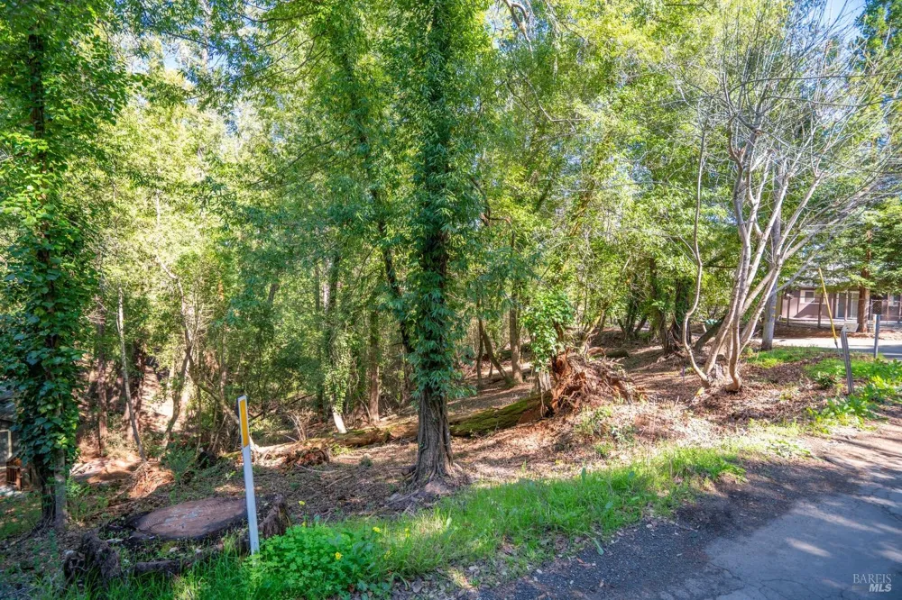 10612 Canyon Road Forestville, CA 95436