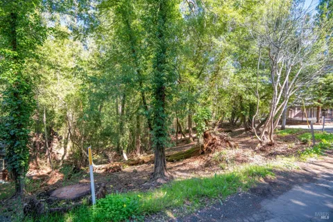 10612 Canyon Road