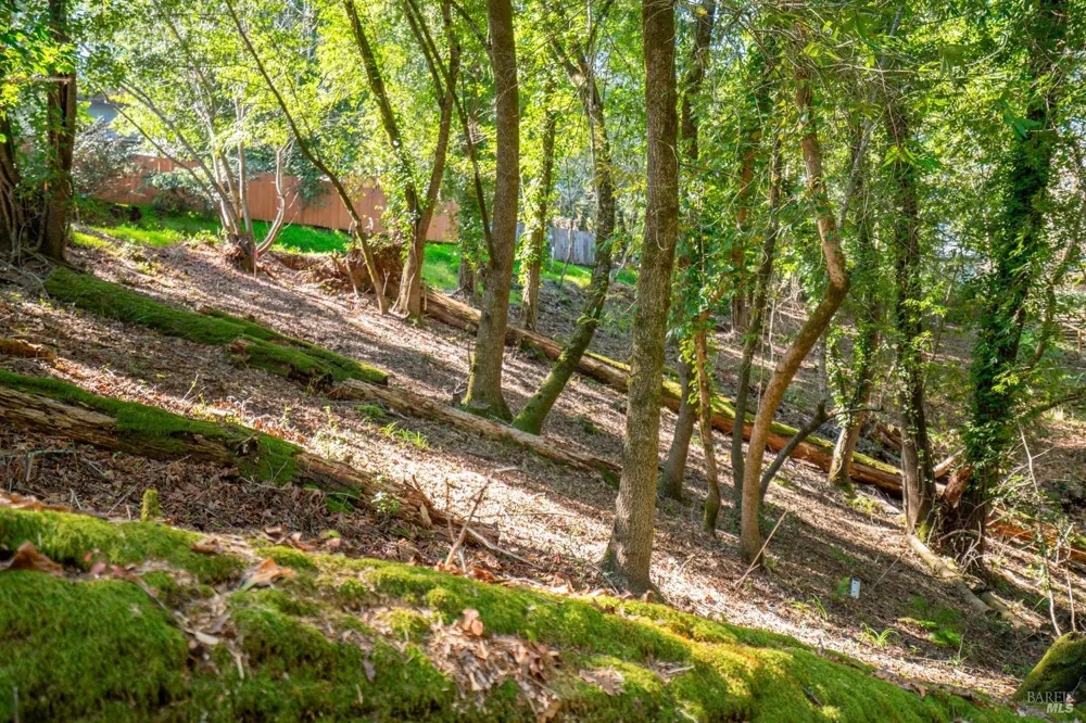10612 Canyon Road Forestville, CA 95436