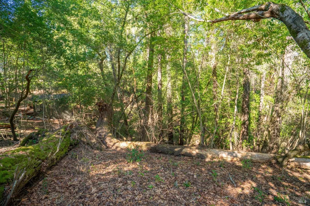 10612 Canyon Road Forestville, CA 95436