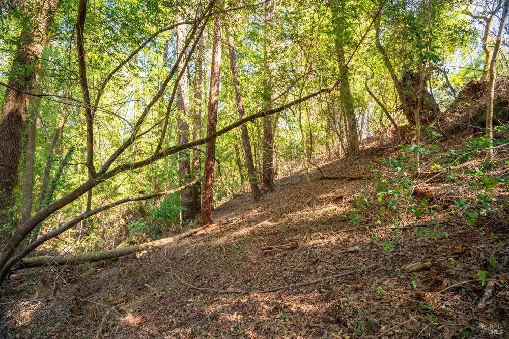 10612 Canyon Road Forestville, CA 95436