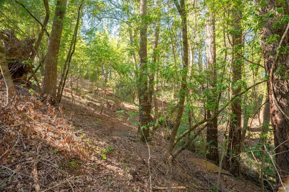 10612 Canyon Road Forestville, CA 95436
